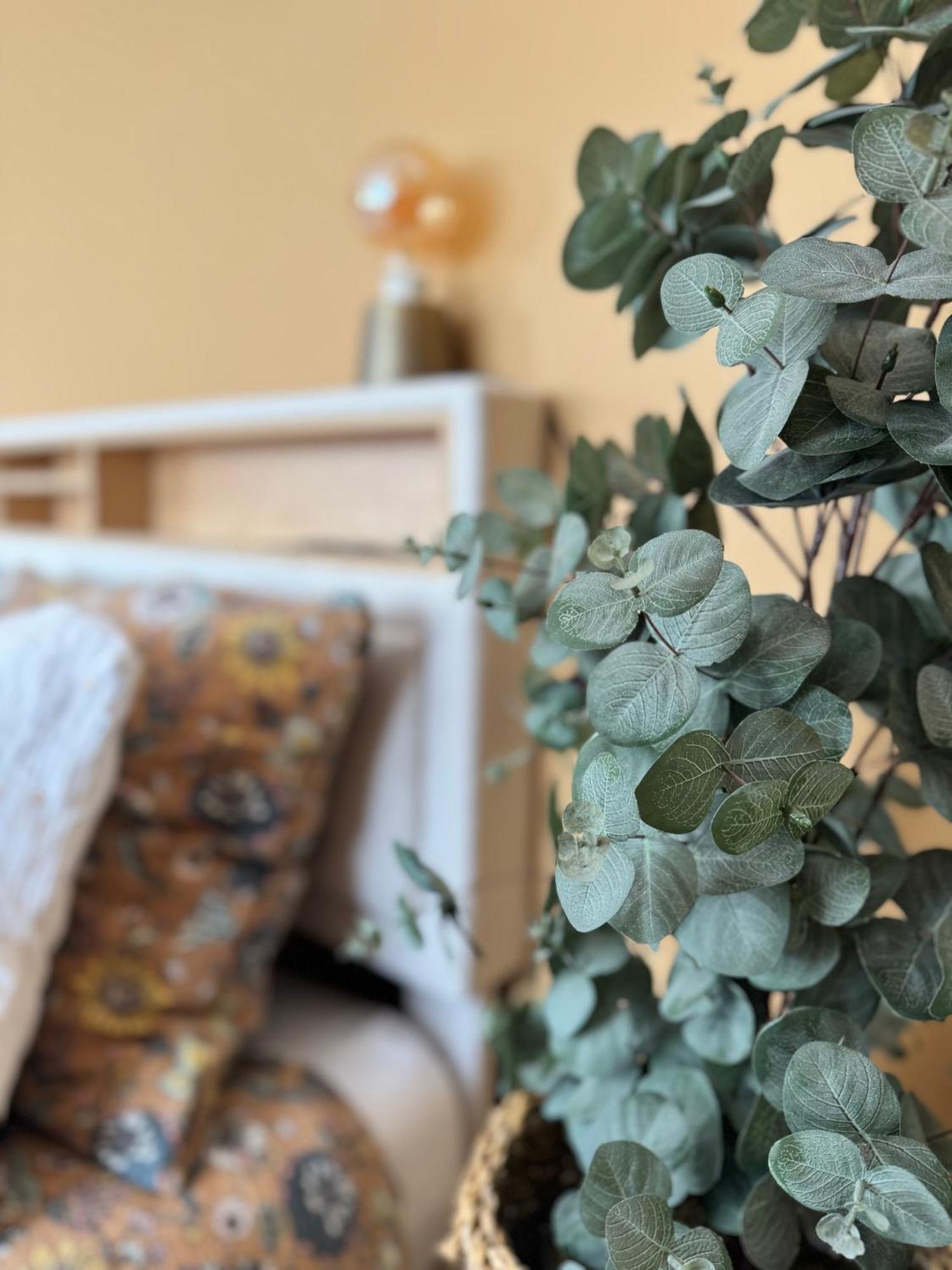 Studio La Petite Oasis- Ideal Couple - Calme - Balcon Sud - Lumineux - 10Min Du Centre & Plage - Proche Centre Juno Beach - Wifi Courseulles-sur-Mer Zewnętrze zdjęcie